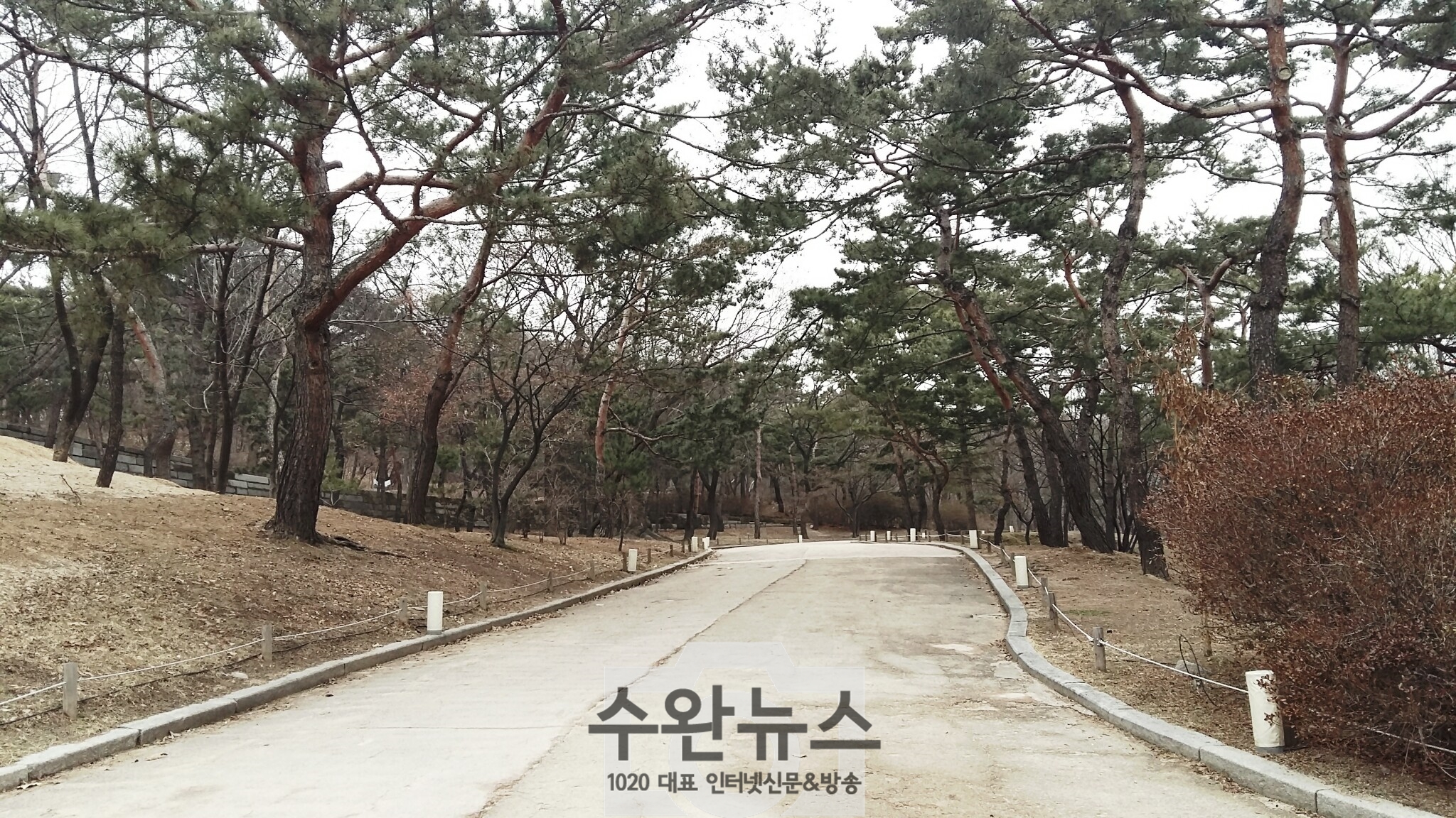 AGAINSEOUL42