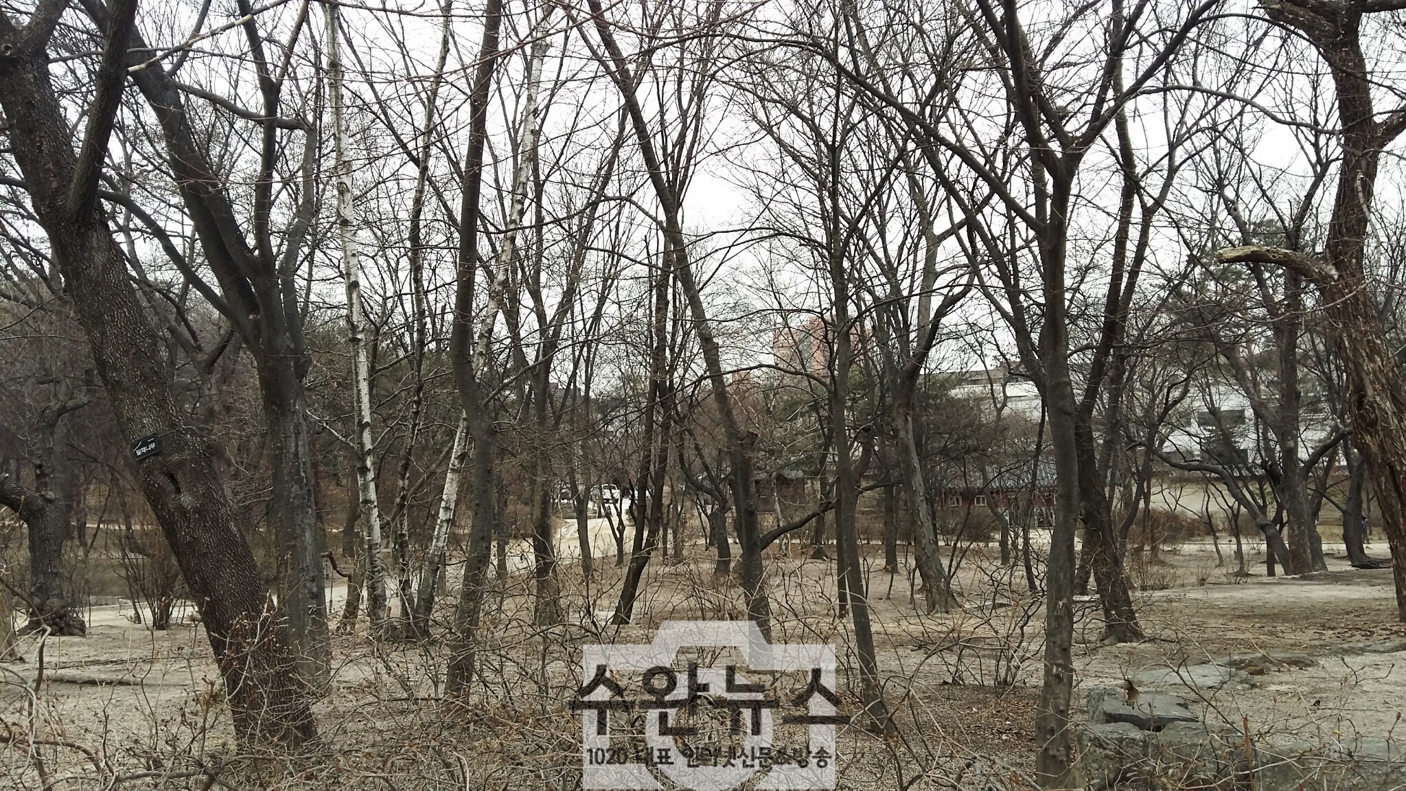 AGAINSEOUL47