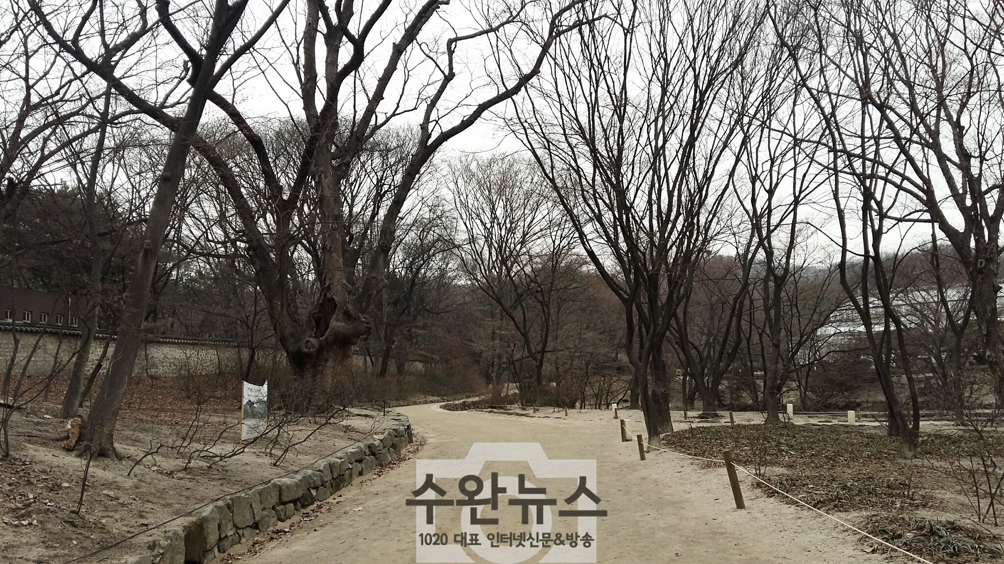 AGAINSEOUL60