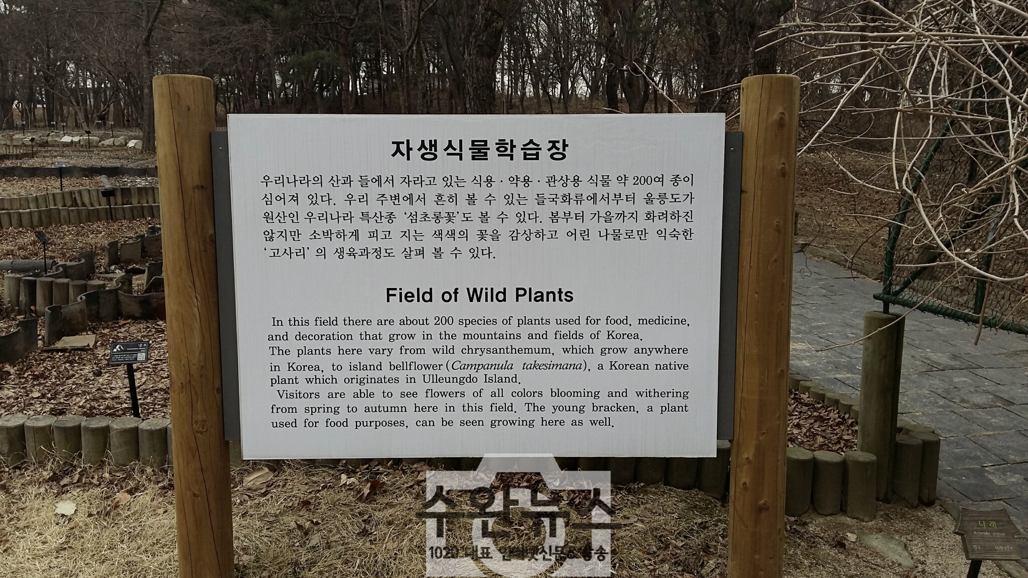 AGAINSEOUL71