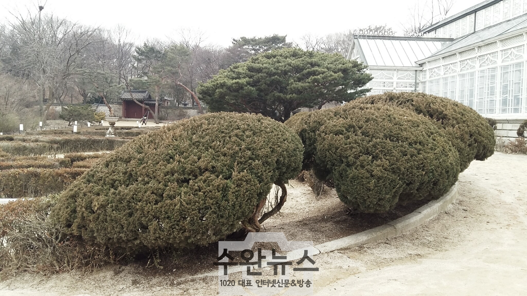 AGAINSEOUL73