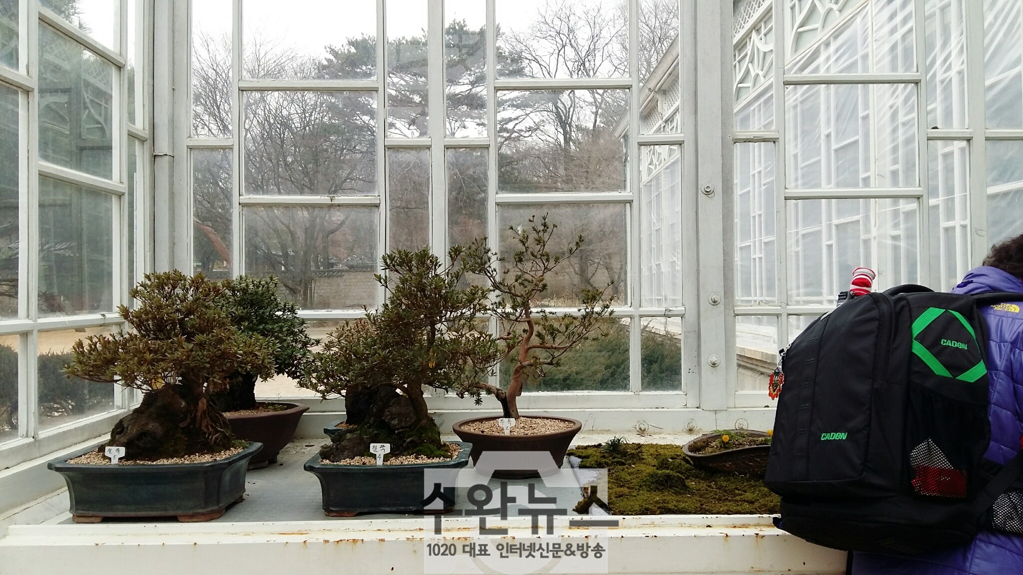 AGAINSEOUL76