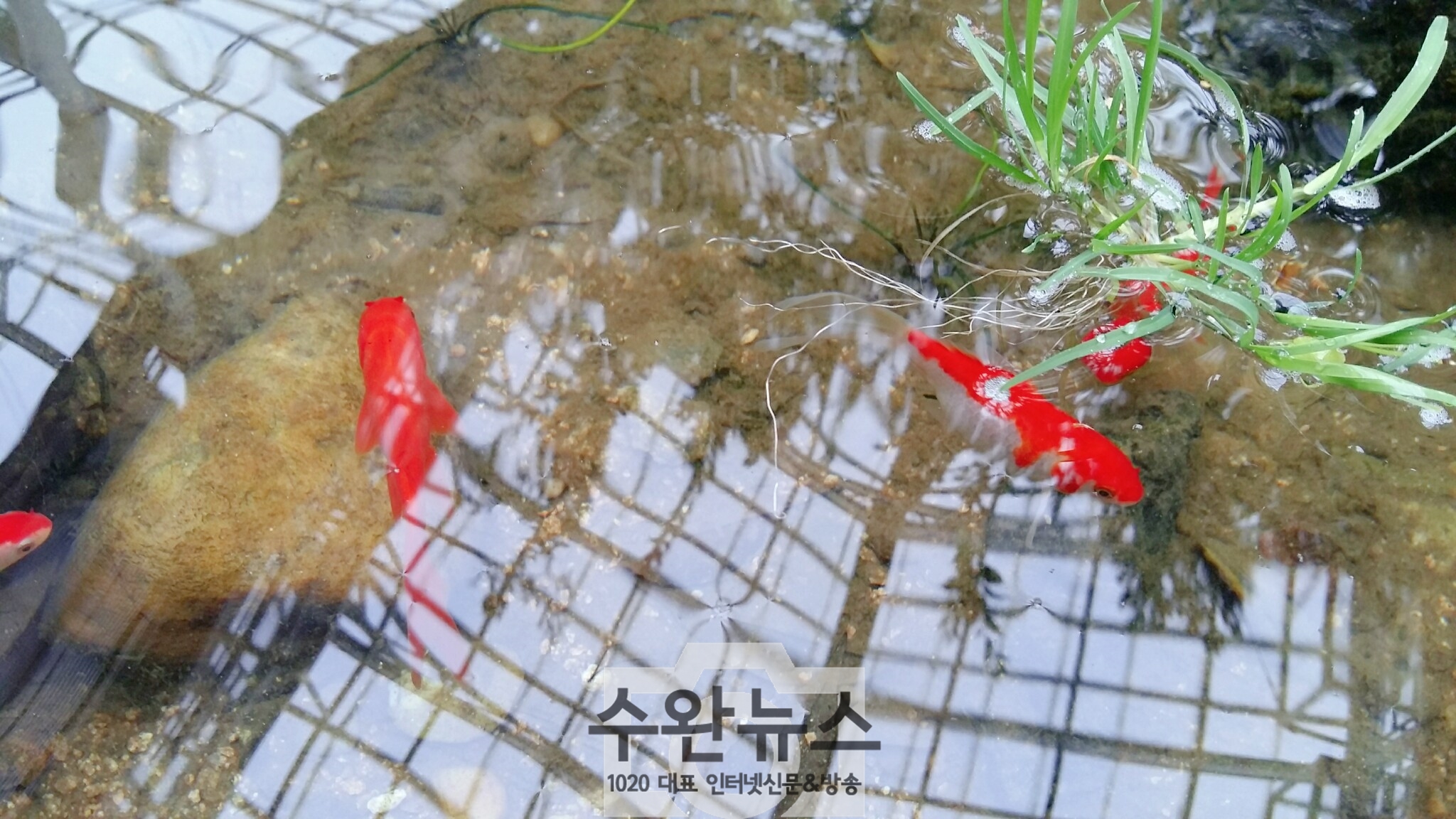 AGAINSEOUL81