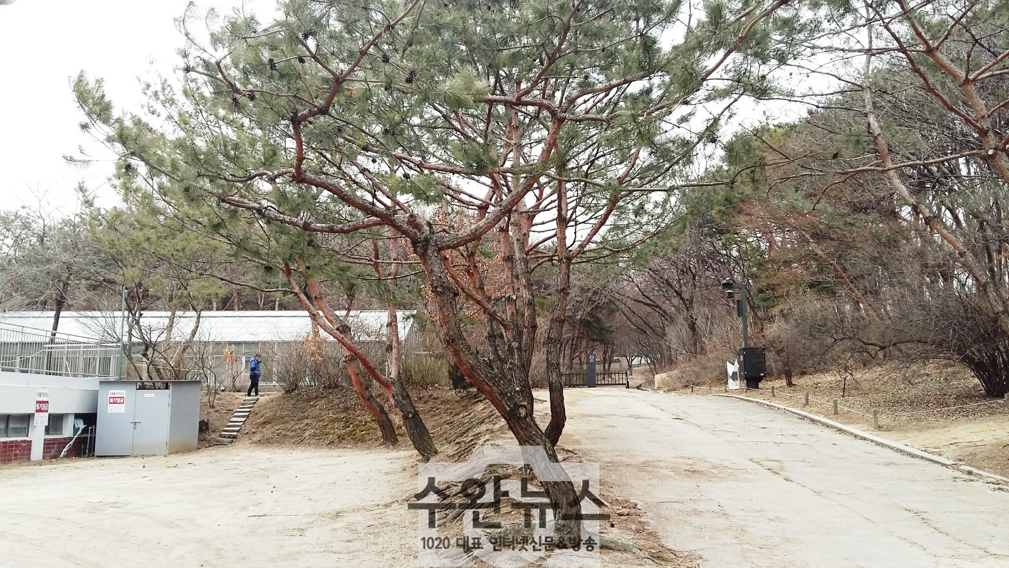 AGAINSEOUL87